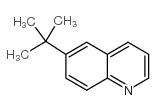 6-叔丁基喹啉