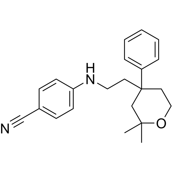 ICMT-IN-23