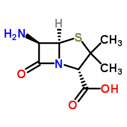 6-氨基青霉烷酸