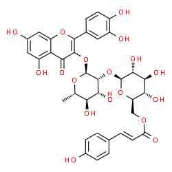 槲皮素-3-鼠李糖-(6''-对羟基反式桂皮酰)葡萄糖甙