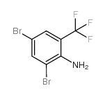 2-氨基-3,5-二溴三氟甲苯