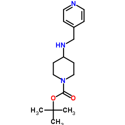 1-N-叔丁羰基-4-(4-吡啶基甲氨)哌啶