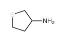 3-氨基四氢噻吩