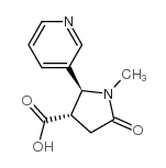 反-1-甲基-4-羧基-5-(3-吡啶基)-2-吡咯烷酮