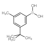 3-叔丁基-5-甲基苯基硼酸