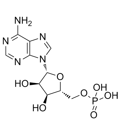 腺苷酸