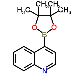 4-(4,4,5,5-四甲基-[1,3,2]二氧硼戊-2-基)喹啉