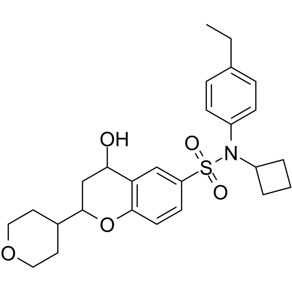 RORγt inverse agonist 23