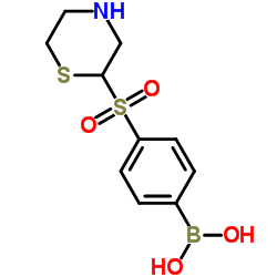 (4-(硫代吗啉磺酰基)苯基)硼酸