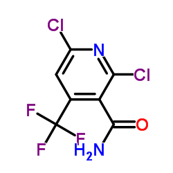 2,6-氯-4-三氟甲基烟酰胺