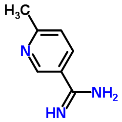 6-甲基-3-吡啶甲脒