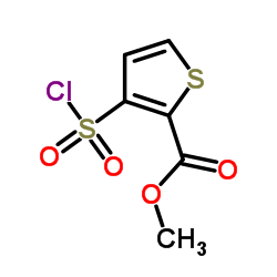 3-(氯磺酰)-2-噻吩羧酸甲酯