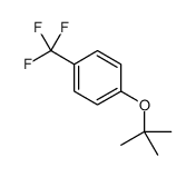 1-(叔丁氧基)-4-(三氟甲基)苯