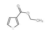 噻吩-3-甲酸乙酯