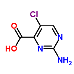 2-氨基-5-氯嘧啶-4-羧酸