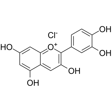 氯化矢车菊素