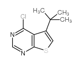 5-叔丁基-4-氯噻吩[2,3-D]嘧啶