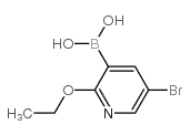 5-溴-2-乙氧基砒啶-3-硼酸