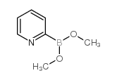 砒啶-2-硼酸二甲酯