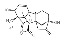 赤霉酸 钾盐