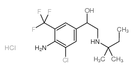 马喷特罗