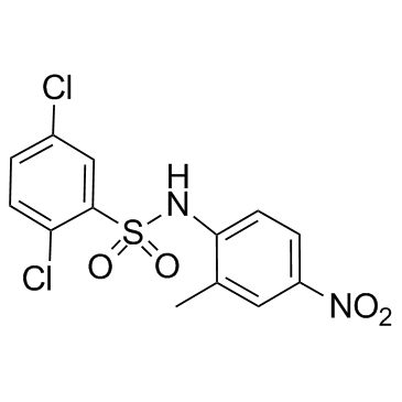 2,5-二氯-N-(2-甲基-4-硝基苯基)苯磺酰胺