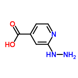 2-肼基烟酸