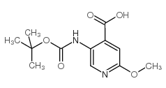 2-甲氧基-5-(Boc-氨基)异烟酸