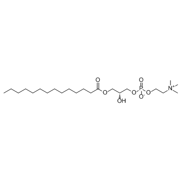 1-肉豆蔻-sn-甘油-3-磷酸胆碱