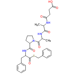 羧肽酶B(猪胰)