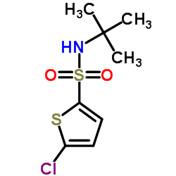 5-氯-2-噻吩叔丁基磺酰胺