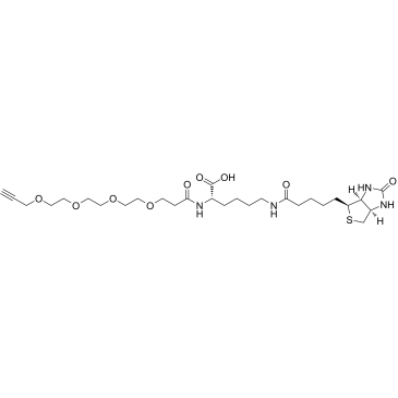 N-(Propargyl-PEG4)-biocytin