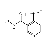 4-(三氟甲基)吡啶-3-碳酸肼