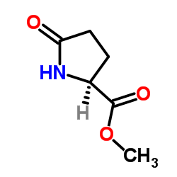 L-焦谷氨酸甲酯