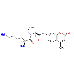 H-Lys-Pro-AMC hydrochloride salt