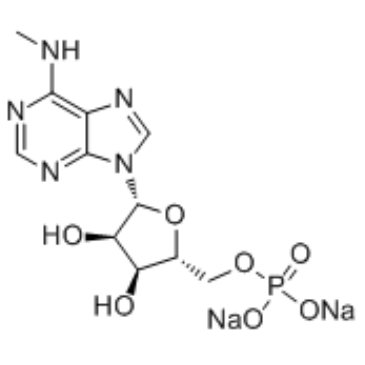 N6-甲基腺苷 5'-单磷酸酯钠盐