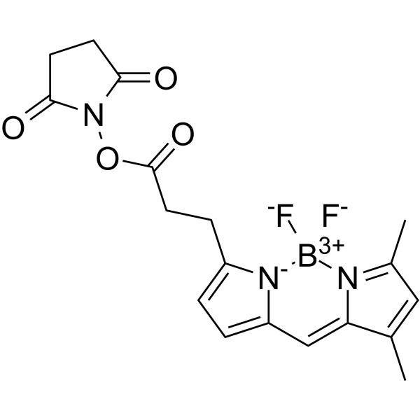 BDP FL NHS Ester