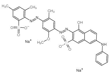 直接紫51