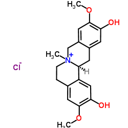 盐酸黄柏碱