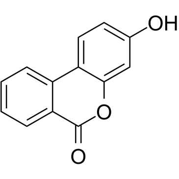 尿石素B