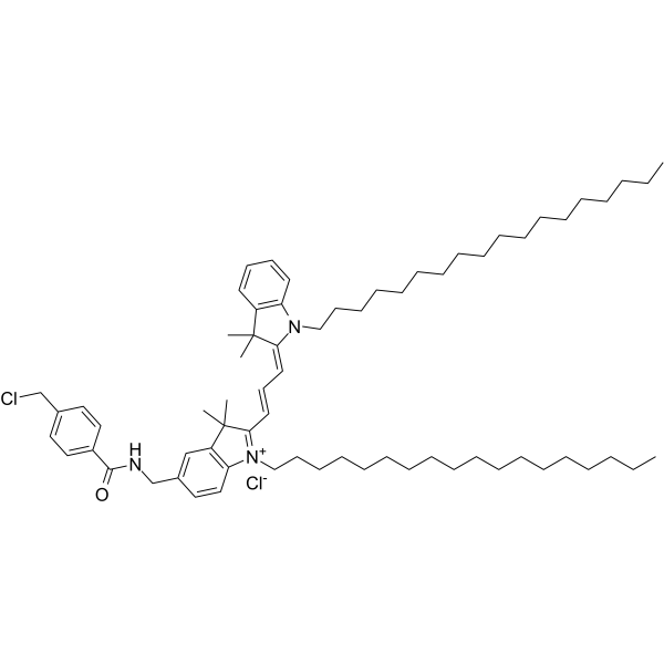 CM-DiI（细胞膜橙红色荧光探针）