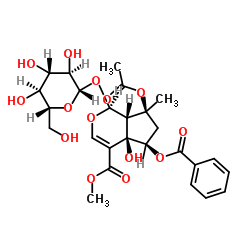 6-O-Benzoylphlorigidoside B