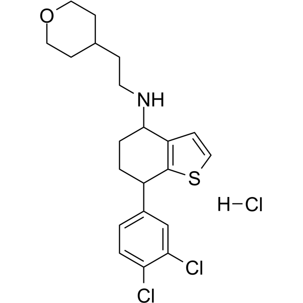 Antifungal agent 22