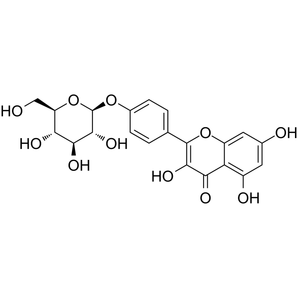 山奈酚-4’’-葡萄糖苷