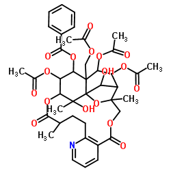 冬青卫矛碱 D