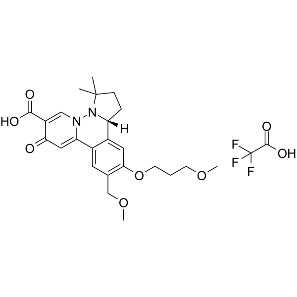 HBV-IN-19 TFA