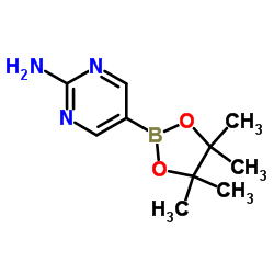 2-氨基嘧啶-5-硼酸频哪醇酯