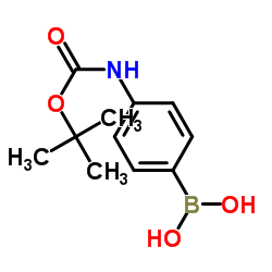 4-(Boc-氨基)苯硼酸