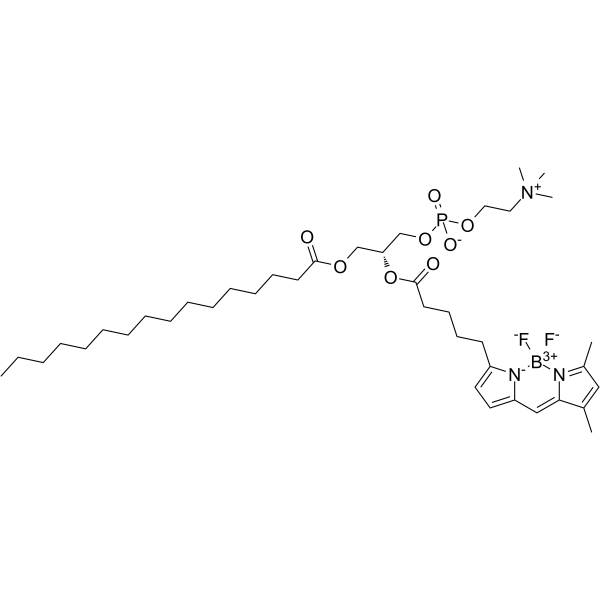 BODIPY FL C5-HPC