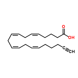 Arachidonic acid-alkyne